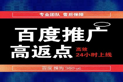 百度竞价排名策略解析：一家公司的广告投放策略全揭秘